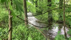 al hedaya islamic center and mosque newtown 304