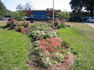 dar us salaam college park 961